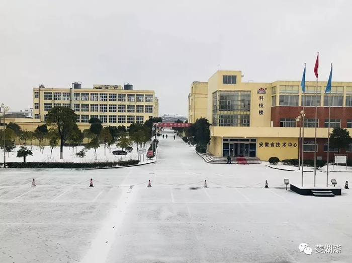 說好的暴雪傾城，是這樣嗎？